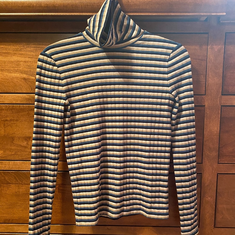 Madewell Striped Turtleneck